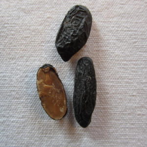 零陵香精油 Tonka Bean：圖片 2